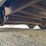 2017-cargo-eagle-image-56