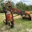 farmhand-f11-image-5