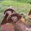 pr1196-excavator-bucket-image-11