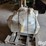 caterpillar-627a-image-2