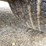 2016-buick-enclave-image-21