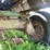 #2007-•-hay-wagon-with-10-ton-running-gear-(colfax-wi)-image-9
