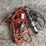 extension-cords-&-lights-image-1