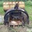 41"-dragline-bucket-image-2