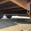 2017-cargo-eagle-image-31