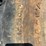 #7067-•-(4)-12-16.5-skid-steer-tires-on-rims-(deerbrook,-wi)-image-9