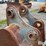 strickland-cx210-36”-excavator-bucket-image-9
