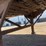 1994-great-dane-53-image-21