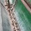 #2015-•-antique-john-deere-lime-spreader-image-20