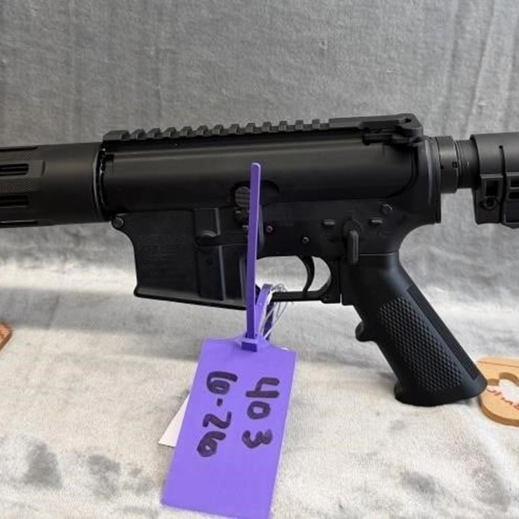 GS- Bushmaster 300 Blackout XM15-E2S