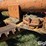 allis-chalmers-d-image-15