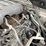 2007-toyota-tundra-sr5-image-103