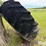 john-deere-9500-image-4