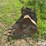 case-new-holland-24”-backhoe-bucket-image-8