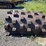 66”-x-49”-padfoot-shell-kit-image-6