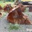 2004-geith-volvo-s2-48”-excavator-bucket-image-4