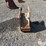 strickland-12"-backhoe-bucket-image-6