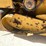 vermeer-504f-image-27