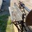 #7064-•-belt-driven-buzz-cut-saw-(deerbrook,-wi)-image-14