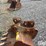 strickland-24"-backhoe-bucket-image-14