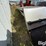 shop-built-stainless-steel-truck-fenders-image-5