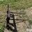 westendorf-54-image-4