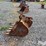 strickland-24"-backhoe-bucket-image-8