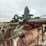 hawkins-12-row-corn-head-crop-sweeper/reel-image-10