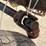 new-holland-56-image-25