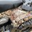 2008-polaris-sportsman-image-13