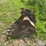 case-new-holland-24”-backhoe-bucket-image-16