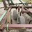 john-deere-1610-image-9