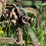 john-deere-10-image-13