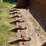 #7075-•-88"-4-in-1-loader-backhoe-bucket-(deerbrook,-wi)-image-13