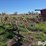 hesston-3980-image-7
