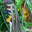 2023-john-deere-1775nt-image-10