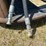 #7078-•-rotoback-pulp-grapple-bucket-with-rotator-(deerbrook,-wi)-image-11