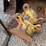 case-24"-backhoe-rear-bucket-image-6