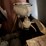 cream-separator,-very-nice,-shedded-image-2