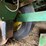 john-deere-7000-image-26