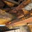 allis-chalmers-6g-image-75