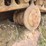 allis-chalmers-6g-image-49