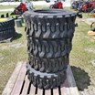 okeechobee-auction---ring-2-image