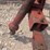 new-holland-469-image-5