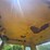 wabco-444-image-41