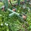 brillion-brs-02-image-10