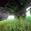 2015-great-dane-reefer-image-42