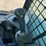 2019-bobcat-t450-image-20