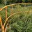 #5481-•-sioux-hay-feeder-image-2