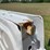 2024-ford-f250-image-5